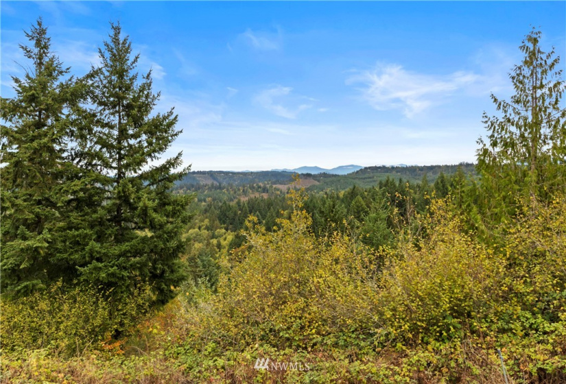 19801 192nd, Orting, Washington 98360, 4 Bedrooms Bedrooms, ,3 BathroomsBathrooms,Residential,For Sale,192nd,NWM1852983