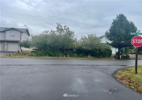 398 Olympic View, Ocean Shores, Washington 98569, ,Land,For Sale,DIV 23,Olympic View,NWM1849675