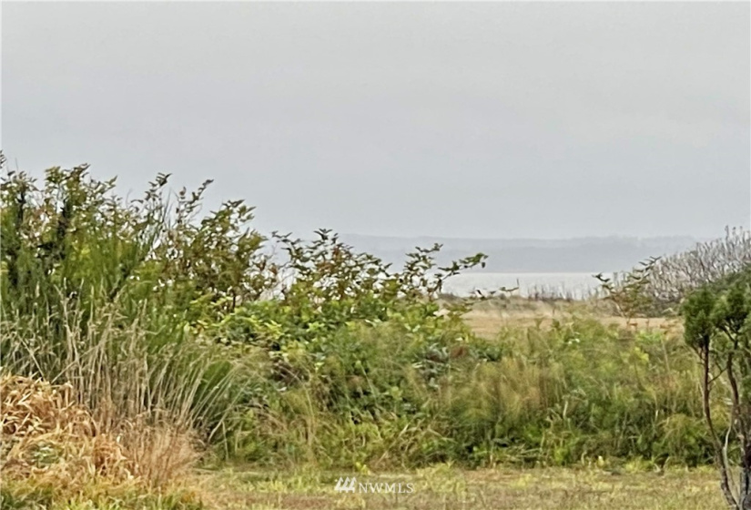 398 Olympic View, Ocean Shores, Washington 98569, ,Land,For Sale,DIV 23,Olympic View,NWM1849675