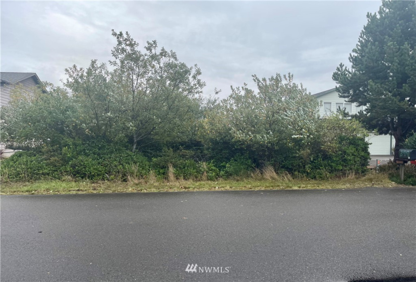 398 Olympic View, Ocean Shores, Washington 98569, ,Land,For Sale,DIV 23,Olympic View,NWM1849675