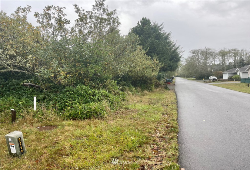 398 Olympic View, Ocean Shores, Washington 98569, ,Land,For Sale,DIV 23,Olympic View,NWM1849675