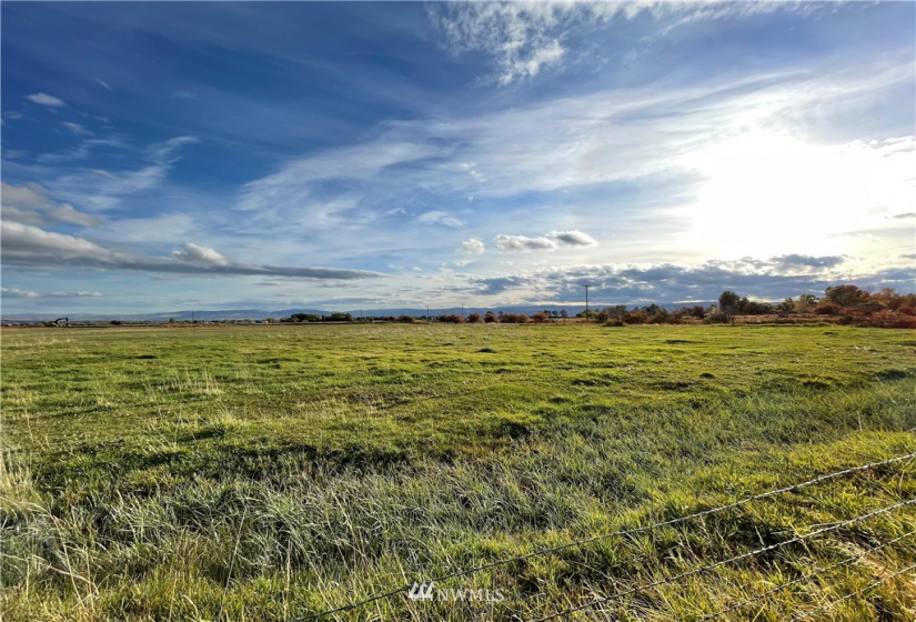 0 Naneum, Ellensburg, Washington 98926, ,Land,For Sale,Naneum,NWM1853435