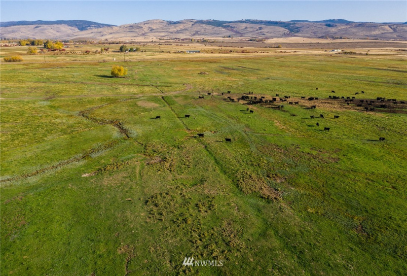 0 Naneum, Ellensburg, Washington 98926, ,Land,For Sale,Naneum,NWM1853435