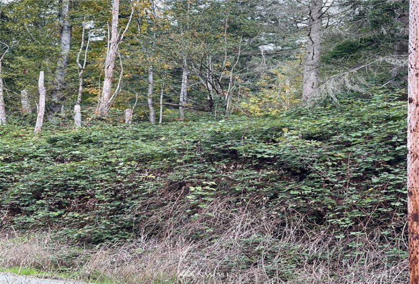0 119th Place, Granite Falls, Washington 98252, ,Land,For Sale,River Terrace,119th Place,NWM1853748