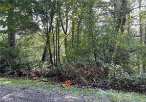 0 119th Place, Granite Falls, Washington 98252, ,Land,For Sale,River Terrace,119th Place,NWM1853748