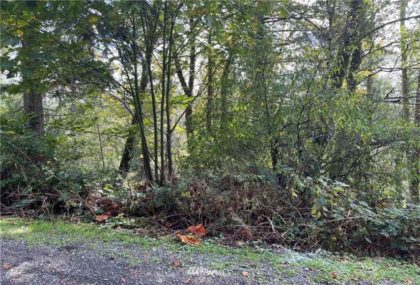 0 119th Place, Granite Falls, Washington 98252, ,Land,For Sale,River Terrace,119th Place,NWM1853748
