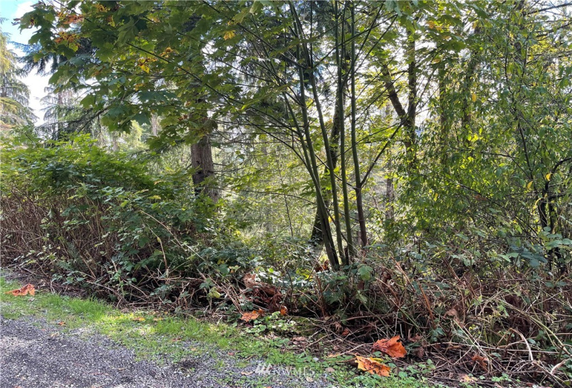 0 119th Place, Granite Falls, Washington 98252, ,Land,For Sale,River Terrace,119th Place,NWM1853748