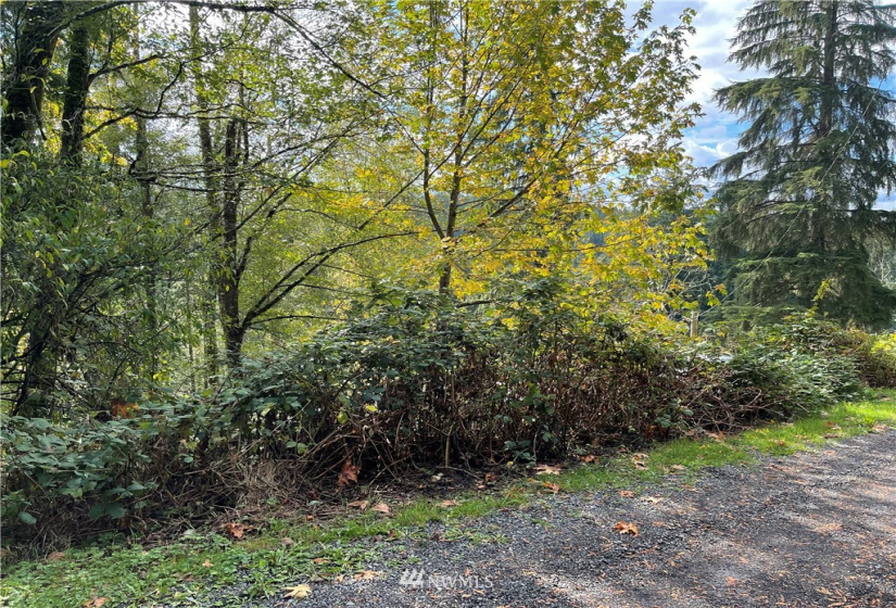 0 119th Place, Granite Falls, Washington 98252, ,Land,For Sale,River Terrace,119th Place,NWM1853748