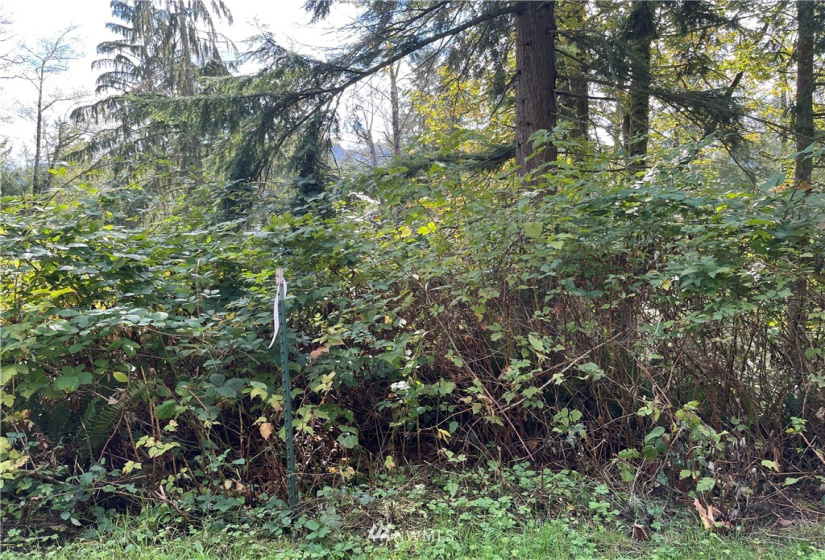 0 119th Place, Granite Falls, Washington 98252, ,Land,For Sale,River Terrace,119th Place,NWM1853748
