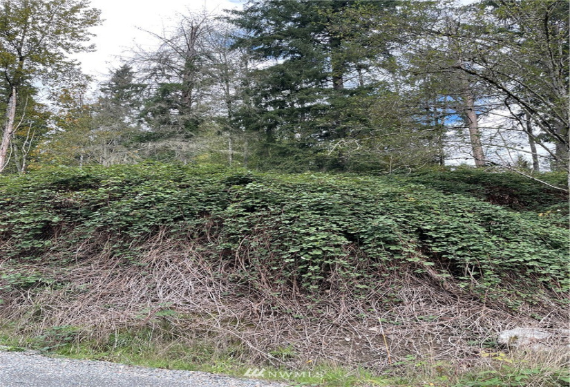 0 119th Place, Granite Falls, Washington 98252, ,Land,For Sale,River Terrace,119th Place,NWM1853748