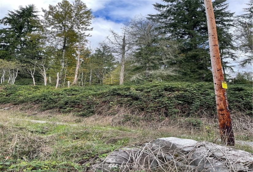 0 119th Place, Granite Falls, Washington 98252, ,Land,For Sale,River Terrace,119th Place,NWM1853748
