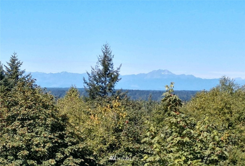 8803 71st, Gig Harbor, Washington 98332, ,Land,For Sale,71st,NWM1853716