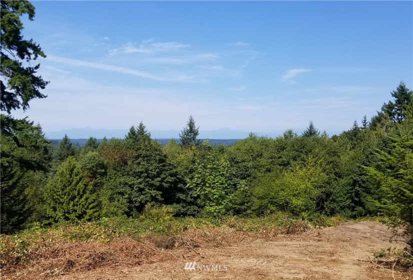 8803 71st, Gig Harbor, Washington 98332, ,Land,For Sale,71st,NWM1853716
