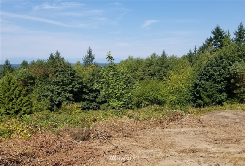 8803 71st, Gig Harbor, Washington 98332, ,Land,For Sale,71st,NWM1853716
