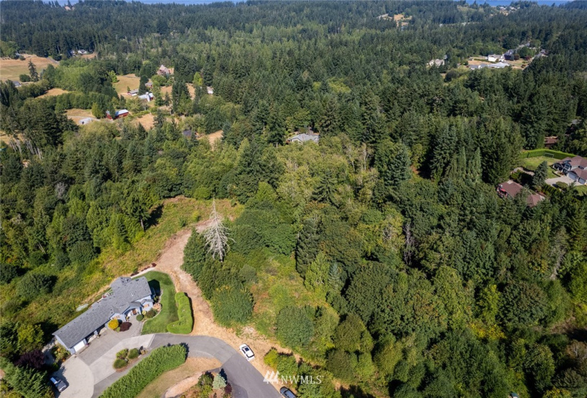 8803 71st, Gig Harbor, Washington 98332, ,Land,For Sale,71st,NWM1853716