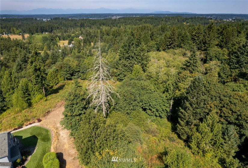 8803 71st, Gig Harbor, Washington 98332, ,Land,For Sale,71st,NWM1853716