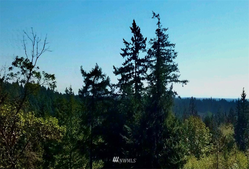 64 LOT 64 Tepee, Belfair, Washington 98528, ,Land,For Sale,Tepee,NWM1851173