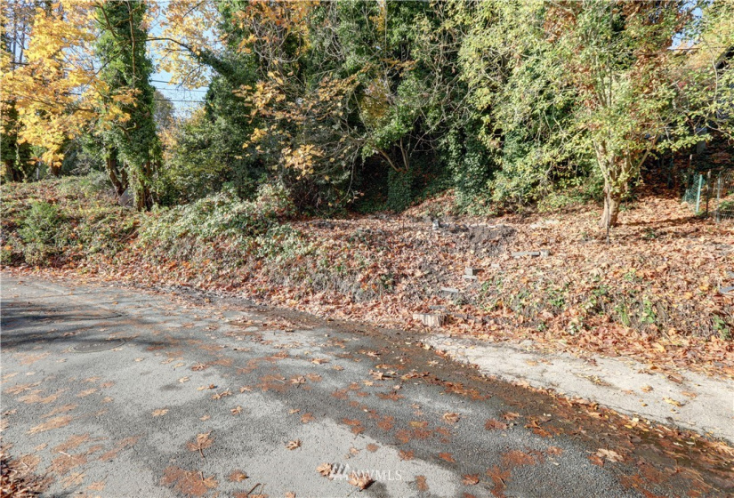 3300 31st, Seattle, Washington 98126, ,Land,For Sale,31st,NWM1853849