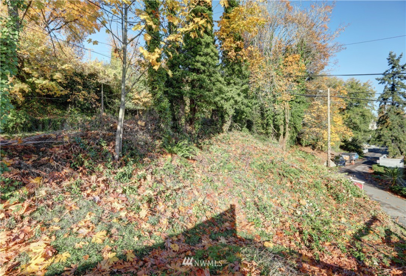3300 31st, Seattle, Washington 98126, ,Land,For Sale,31st,NWM1853849