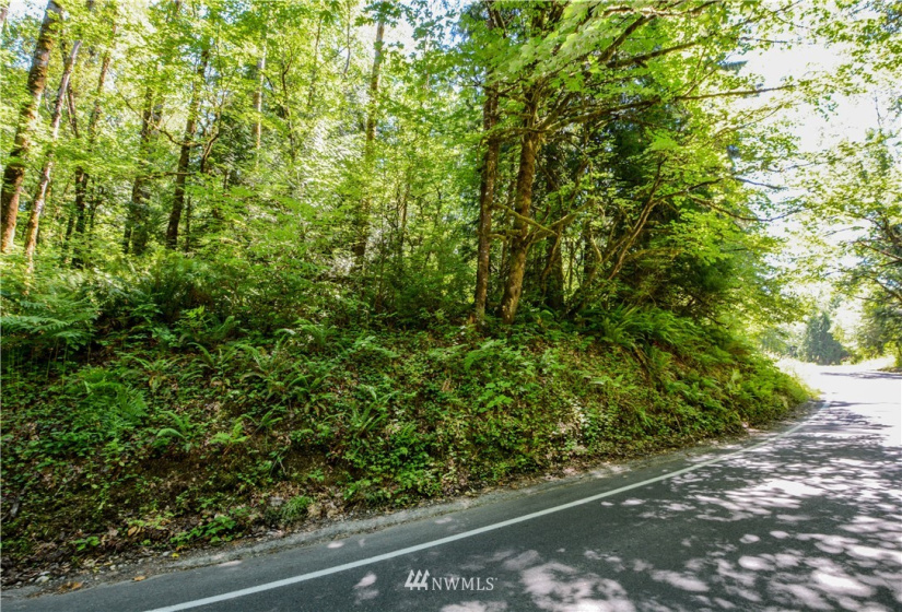 238 XX Old Woodinville Duvall, Woodinville, Washington 98077, ,Land,For Sale,Old Woodinville Duvall,NWM1852860