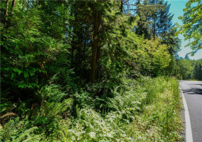 238 XX Old Woodinville Duvall, Woodinville, Washington 98077, ,Land,For Sale,Old Woodinville Duvall,NWM1852860