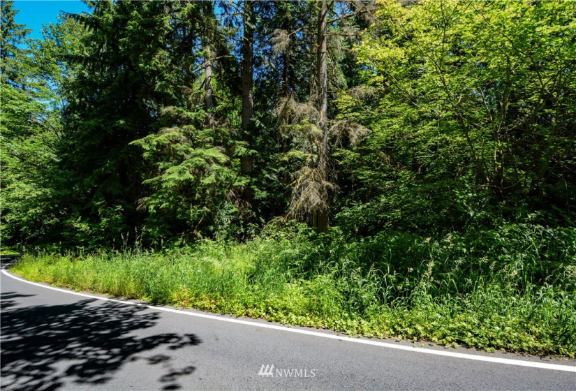 238 XX Old Woodinville Duvall, Woodinville, Washington 98077, ,Land,For Sale,Old Woodinville Duvall,NWM1852860