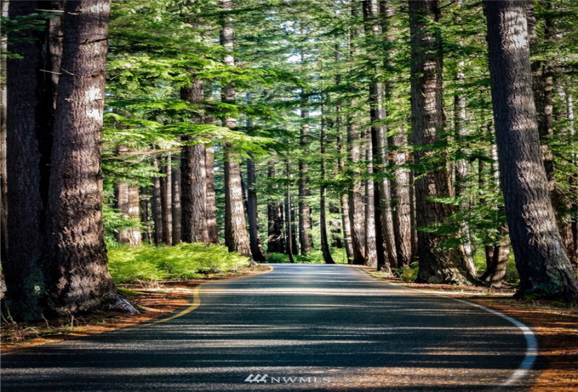 0 LOT D - Lake Louise Road, Bellingham, Washington 98229, ,Land,For Sale,LOT D - Lake Louise Road,NWM1851912