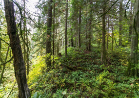 0 LOT D - Lake Louise Road, Bellingham, Washington 98229, ,Land,For Sale,LOT D - Lake Louise Road,NWM1851912