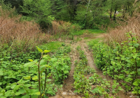 411 6th, Aberdeen, Washington 98520, ,Land,For Sale,6th,NWM1839912