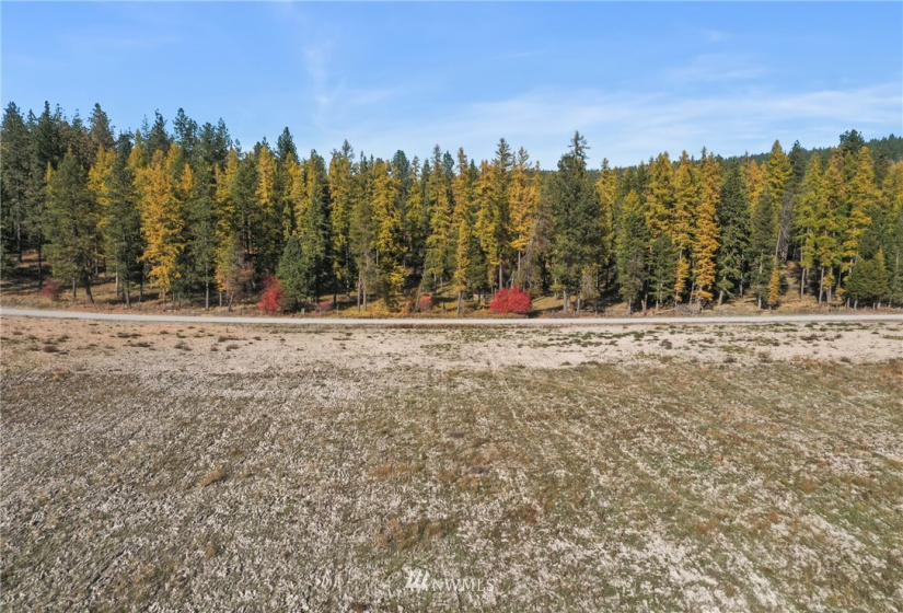 0 xxx Elk-Chattaroy, Chattaroy, Washington 99003, ,Land,For Sale,Elk-Chattaroy,NWM1854274