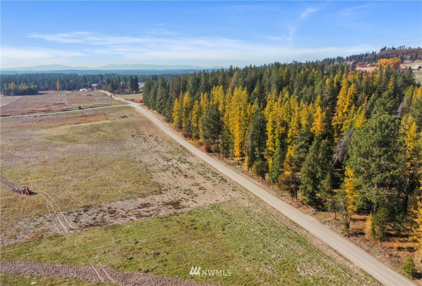 0 xxx Elk-Chattaroy, Chattaroy, Washington 99003, ,Land,For Sale,Elk-Chattaroy,NWM1854274