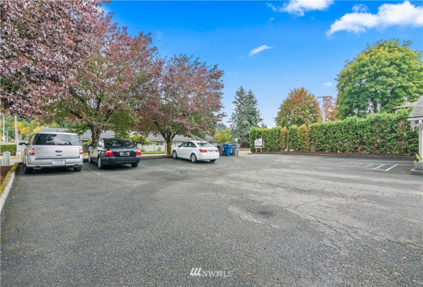 1528 8th, Auburn, Washington 98002, 1 Bedroom Bedrooms, ,1 BathroomBathrooms,Residential Lease,For Rent,8th,NWM1854407