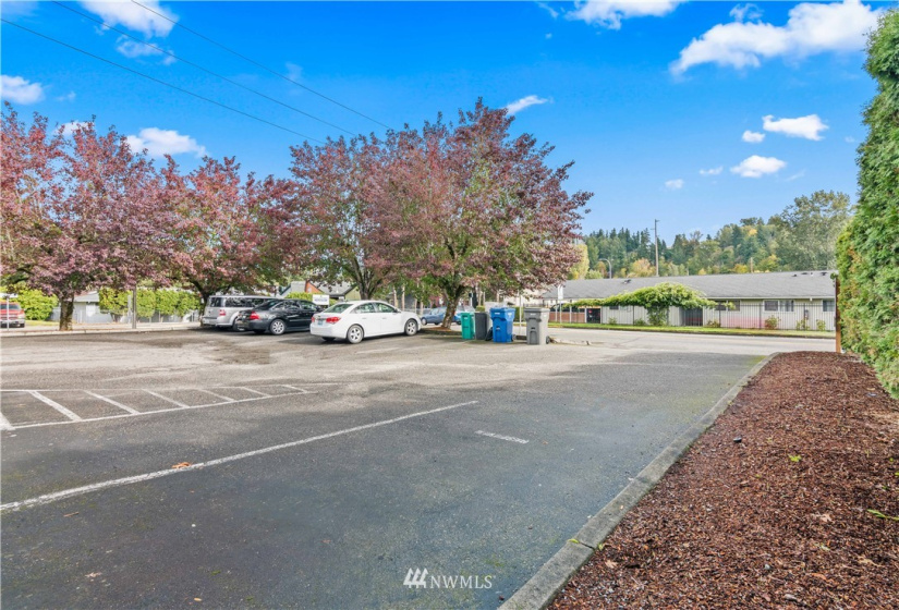 1528 8th, Auburn, Washington 98002, 1 Bedroom Bedrooms, ,1 BathroomBathrooms,Residential Lease,For Rent,8th,NWM1854407