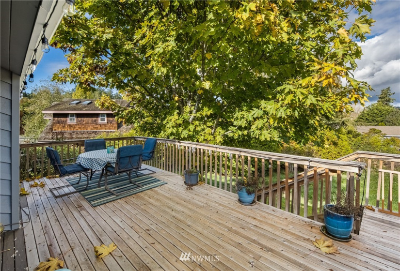 1088 Golf Course, Friday Harbor, Washington 98250, 4 Bedrooms Bedrooms, ,2 BathroomsBathrooms,Residential,For Sale,San Juan Fairways No. 3,Golf Course,NWM1854484