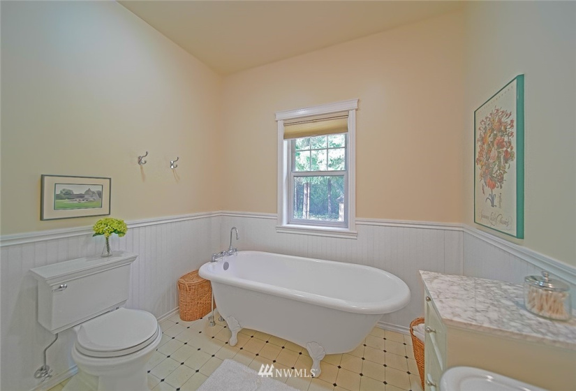 16116 Lemuria, Yelm, Washington 98597, 2 Bedrooms Bedrooms, ,1 BathroomBathrooms,Residential,For Sale,Lemuria,NWM1840071