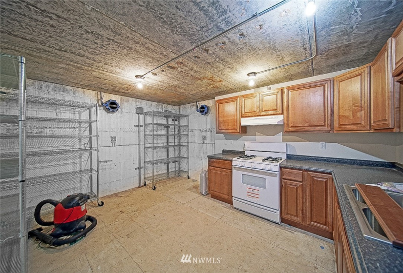16116 Lemuria, Yelm, Washington 98597, 2 Bedrooms Bedrooms, ,1 BathroomBathrooms,Residential,For Sale,Lemuria,NWM1840071