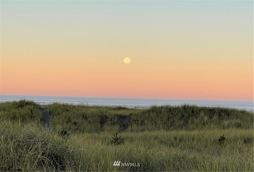 1611 Ocean Beach Blvd, Long Beach, Washington 98631, 2 Bedrooms Bedrooms, ,2 BathroomsBathrooms,Residential,For Sale,Beachcombers,Ocean Beach Blvd,NWM1851462