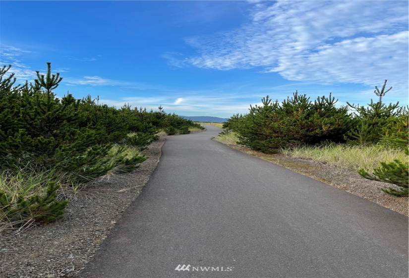1611 Ocean Beach Blvd, Long Beach, Washington 98631, 2 Bedrooms Bedrooms, ,2 BathroomsBathrooms,Residential,For Sale,Beachcombers,Ocean Beach Blvd,NWM1851462