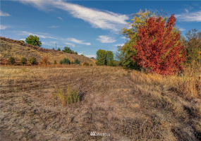 0 Bussell, Walla Walla, Washington 99362, ,Land,For Sale,Bussell,NWM1854627