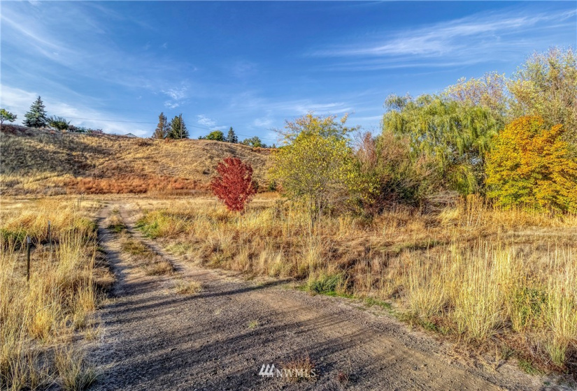 0 Bussell, Walla Walla, Washington 99362, ,Land,For Sale,Bussell,NWM1854627