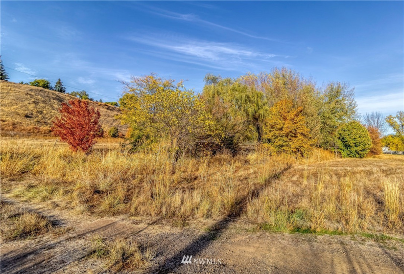 0 Bussell, Walla Walla, Washington 99362, ,Land,For Sale,Bussell,NWM1854627