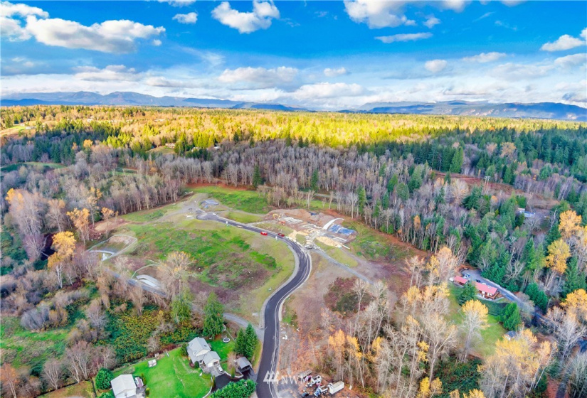 11316 73rd Ave NE (Lot 2), Arlington, Washington 98223, ,Land,For Sale,August Paul Estates,73rd Ave NE (Lot 2),NWM1854705