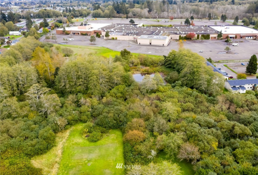 0 South Shore, Aberdeen, Washington 98520, ,Land,For Sale,South Shore,NWM1851551