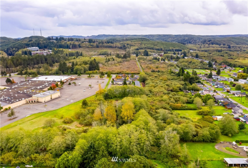 0 South Shore, Aberdeen, Washington 98520, ,Land,For Sale,South Shore,NWM1851551