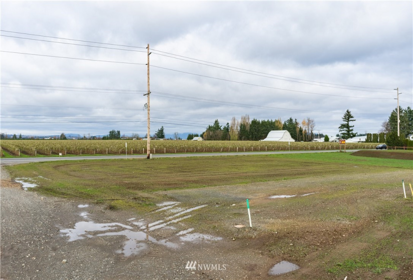 2237 DeJong, Lynden, Washington 98264, ,Land,For Sale,DeJong,NWM1854906