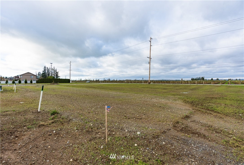 2263 DeJong, Lynden, Washington 98264, ,Land,For Sale,DeJong,NWM1854909