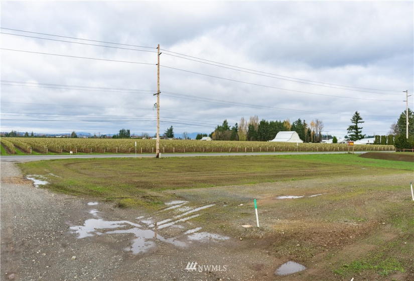 2263 DeJong, Lynden, Washington 98264, ,Land,For Sale,DeJong,NWM1854909
