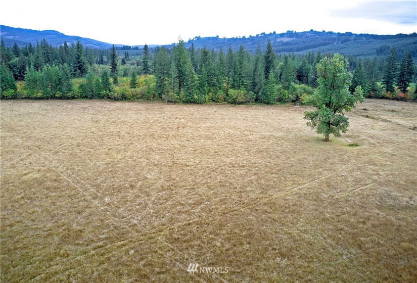 0 Muncton, Yacolt, Washington 98675, ,Land,For Sale,Muncton,NWM1854938