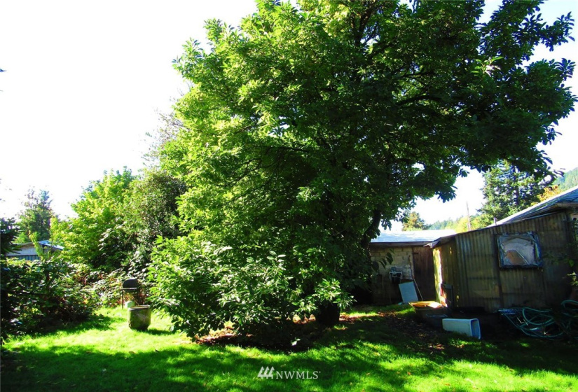 114 Miller, Randle, Washington 98377, 3 Bedrooms Bedrooms, ,2 BathroomsBathrooms,Residential,For Sale,Miller,NWM1854245