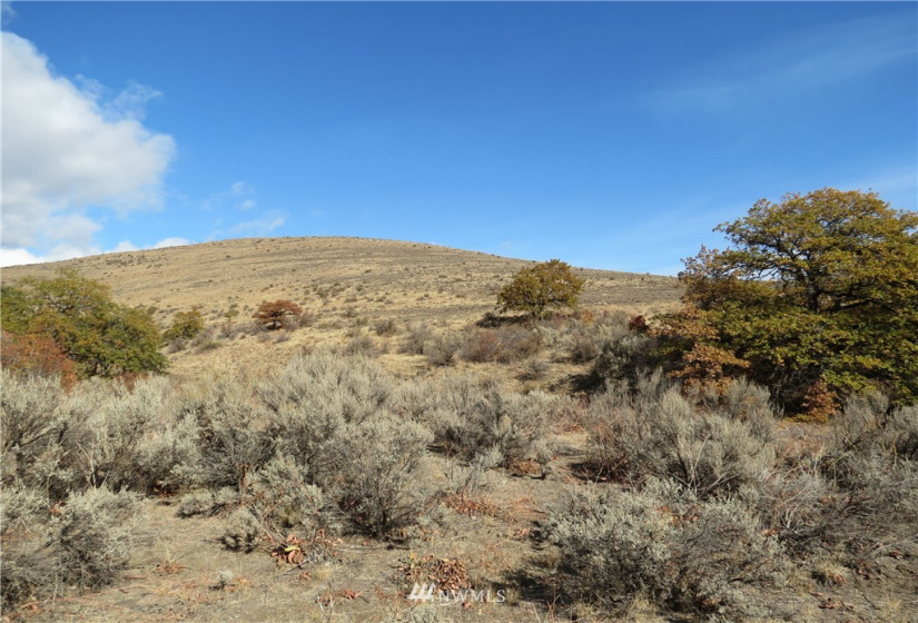 0 Cowiche Mill, Cowiche, Washington 98923, ,Land,For Sale,Cowiche Mill,NWM1854093